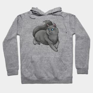 Cat - Ragdoll - Black Hoodie